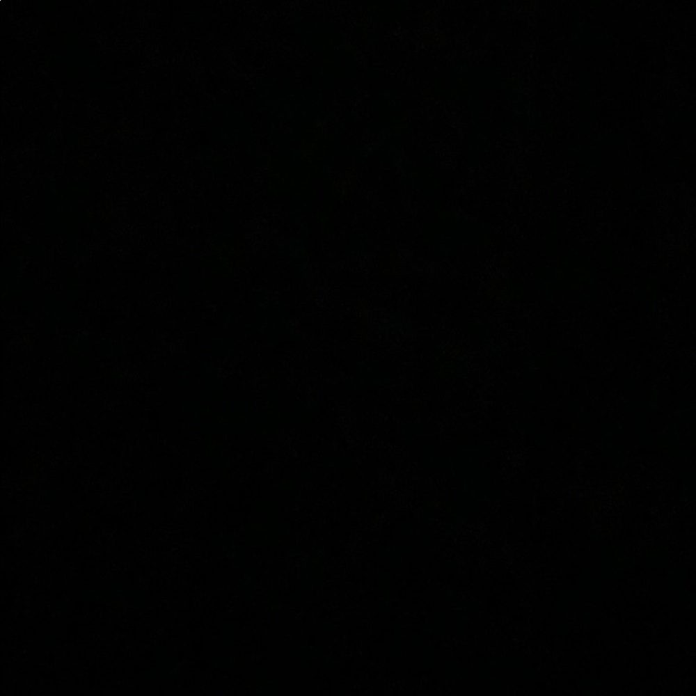 Meet your Posher, Kesha